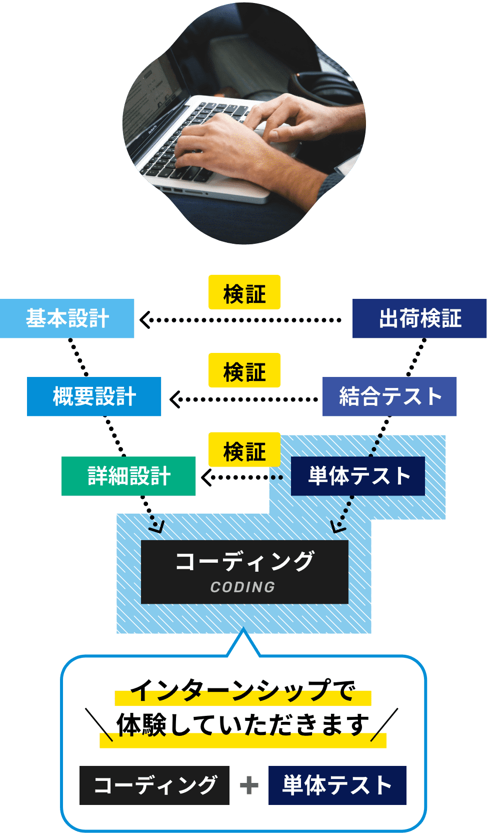 インターンシップ